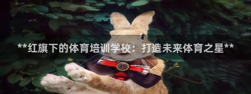极悦平台注册流程图：**红旗下的体育培训学校：打造未