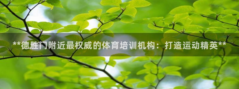 极悦平台是什么：**德胜门附近最权威的体育培训机构：