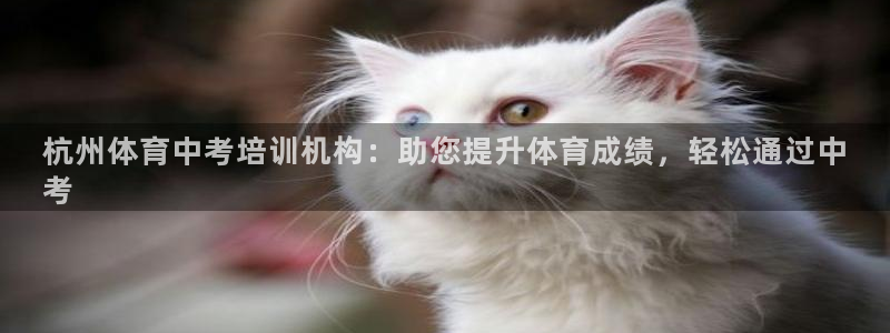 极悦平台与网易合作详情在哪：杭州体育中考培训机构：助