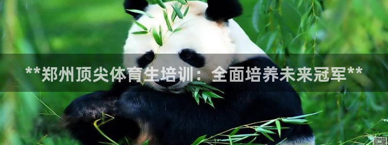 极悦娱乐部7O777：**郑州顶尖体育生培训：全面培