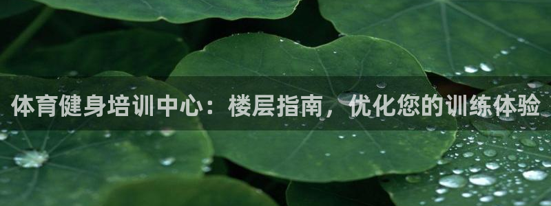 极悦平台注册用户名格式是什么：体育健身培训中心：楼层