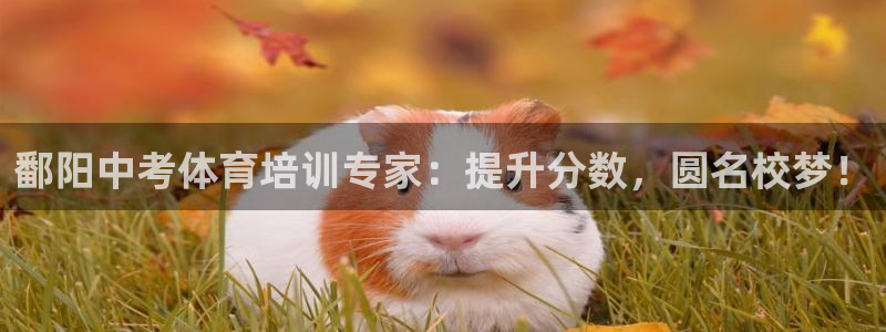 极悦生活家是什么平台：鄱阳中考体育培训专家：提升分数
