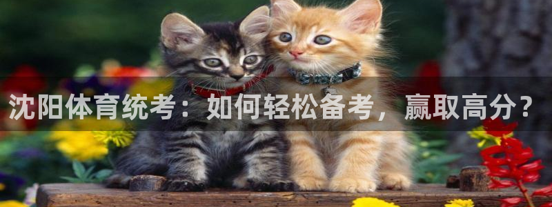 极悦平台平台注册方法与步骤：沈阳体育统考：如何轻松备