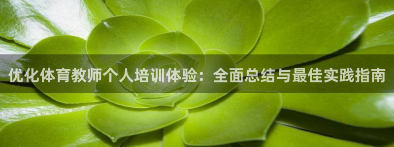 加盟极悦教育：优化体育教师个人培训体验：全面总结与最