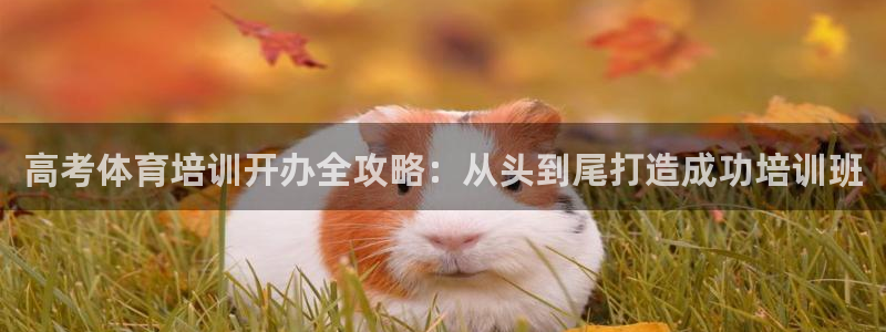 极悦娱乐游戏中心：高考体育培训开办全攻略：从头到尾打