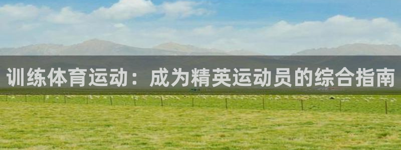 极悦牙膏好吗：训练体育运动：成为精英运动员的综合指南