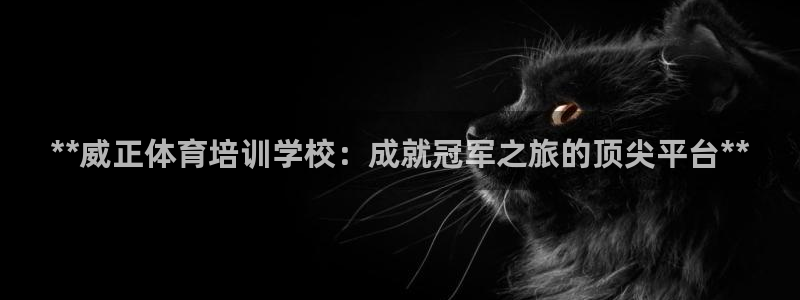 极悦娱乐负责人：**威正体育培训学校：成就冠军之旅的