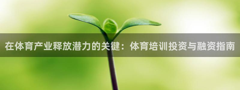 极悦生活家是什么平台：在体育产业释放潜力的关键：体育培训投资