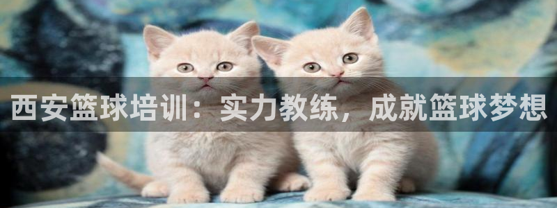 极悦平台客服的联系方式是：西安篮球培训：实力教练，成