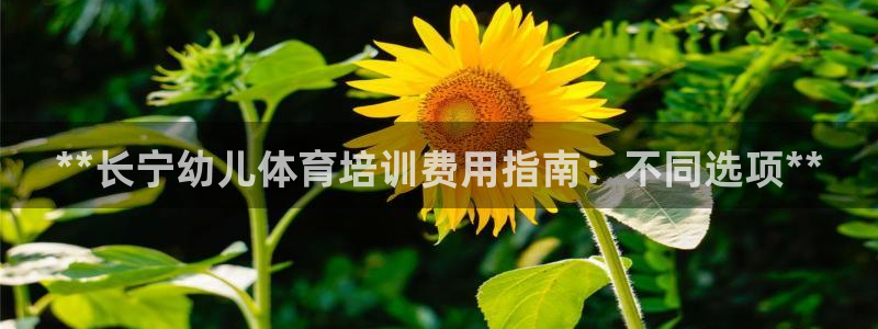 极悦平台登录最新版本更新内容怎么删除：**长宁幼儿体