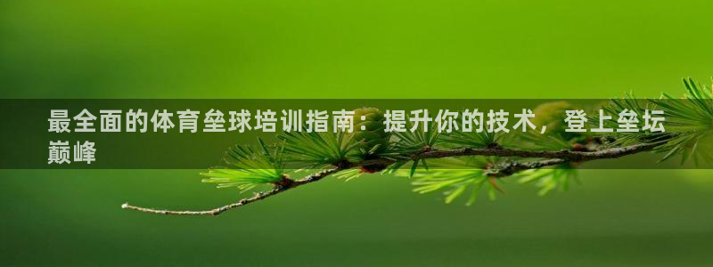深圳极悦文化传媒有限公司：最全面的体育垒球培训指南：
