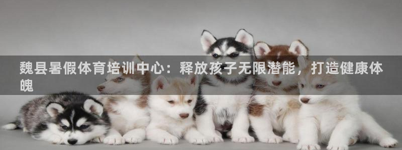 极悦平台注册用户名生成器：魏县暑假体育培训中心：释放