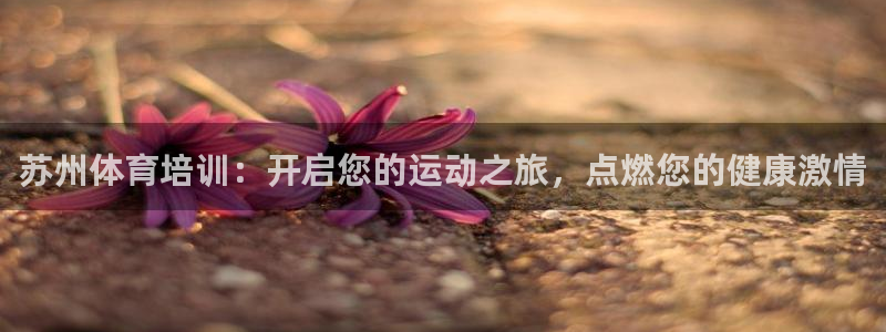 极悦娱乐股东有哪些：苏州体育培训：开启您的运动之旅，