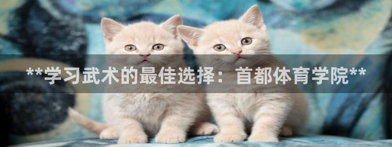 极悦平台注册流程详解图片：**学习武术的最佳选择：首