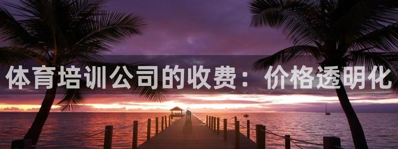 极悦娱乐代理多少钱一年：体育培训公司的收费：价格透明