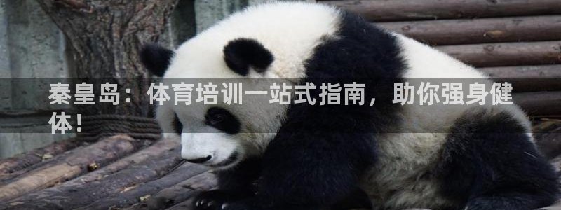 极悦平台注册官方网站下载：秦皇岛：体育培训一站式指南