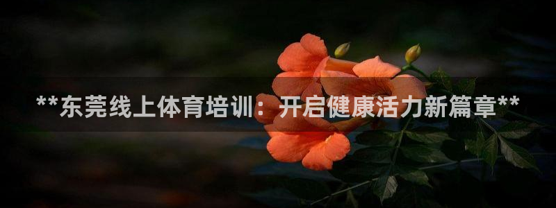 极悦平台注册流程图片：**东莞线上体育培训：开启健康
