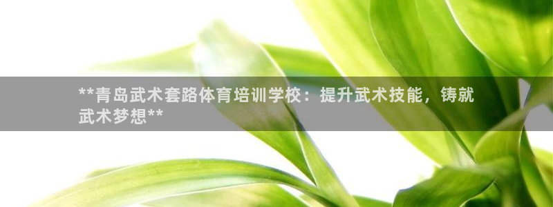 极悦平台有风险吗知乎：**青岛武术套路体育培训学校：