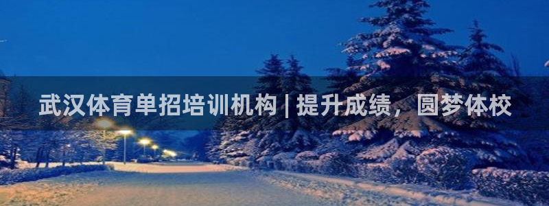 极悦娱乐官网app下载苹果版：武汉体育单招培训机构 
