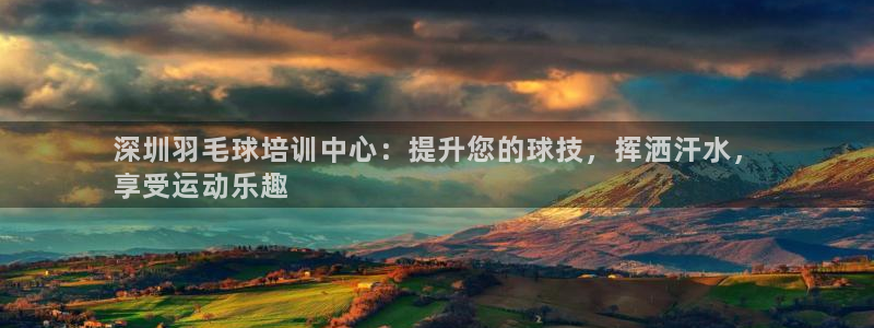 极悦平台官网登录不了：深圳羽毛球培训中心：提升您的球