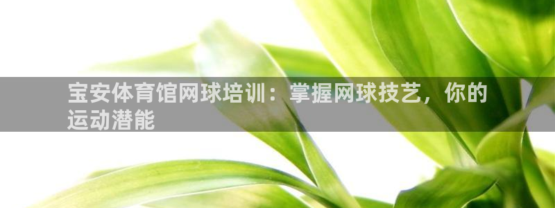 极悦娱乐最新版本更新内容介绍：宝安体育馆网球培训：掌