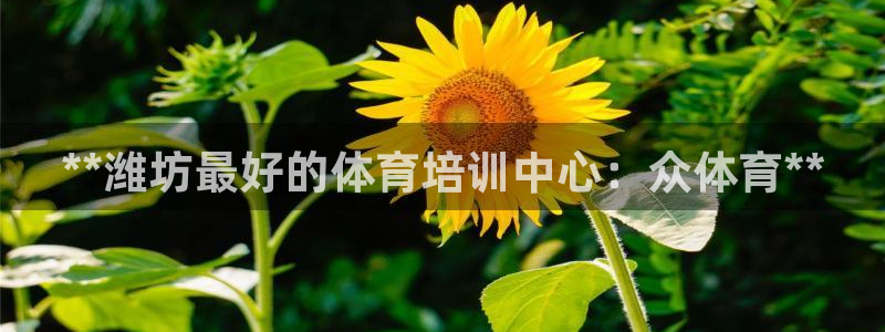 极悦平台app安全吗：**潍坊最好的体育培训中心：众