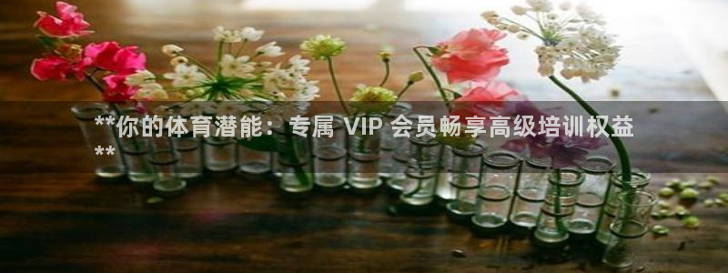 极悦娱乐挂机赚钱是真的吗吗：**你的体育潜能：专属 