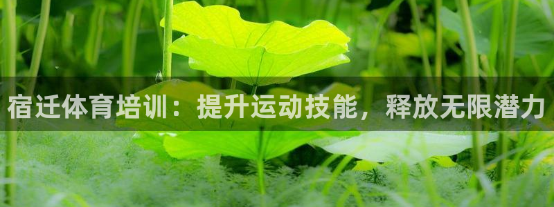极悦平台官网登录：宿迁体育培训：提升运动技能，释放无