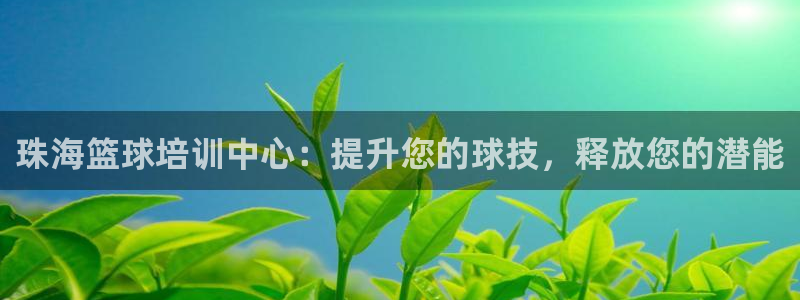 极悦平台注册登录入口：珠海篮球培训中心：提升您的球技