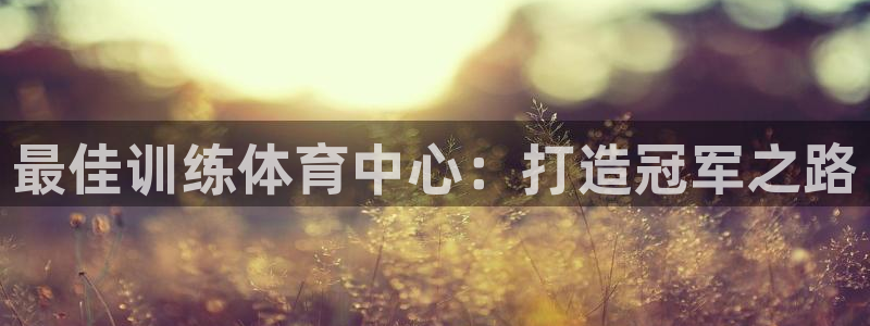 极悦娱乐代理多少钱一年：最佳训练体育中心：打造冠军之