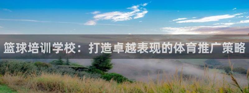 极悦平台注册官网下载：篮球培训学校：打造卓越表现的体