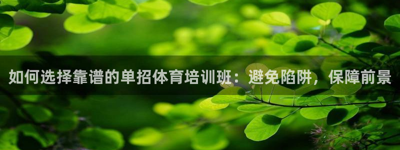 极悦平台注册用户名生成器是什么：如何选择靠谱的单招体
