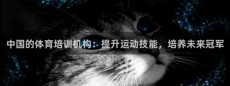 极悦益生菌猫粮怎么样：中国的体育培训机构：提升运动技