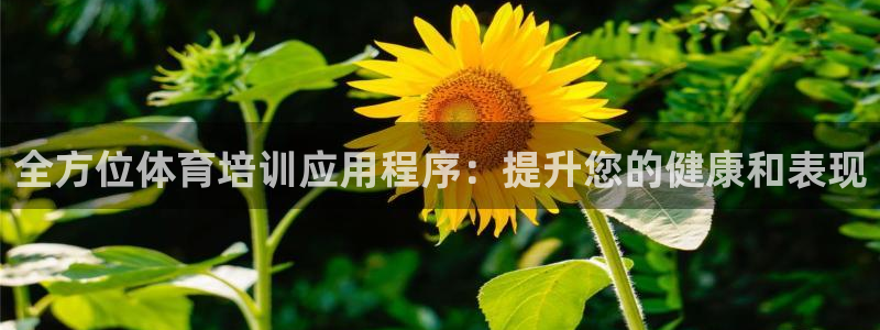 极悦平台注册失败如何解决：全方位体育培训应用程序：提