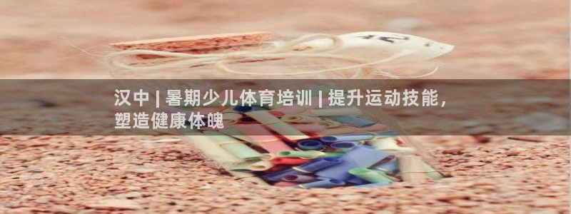 极悦平台登录入口注册：汉中 | 暑期少儿体育培训 |
