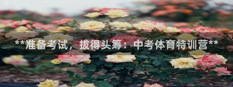 极悦平台客服的联系方式：**准备考试，拔得头筹：中考