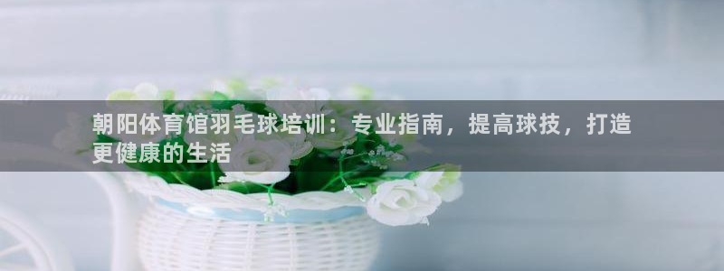 极悦娱乐官网最新版本更新内容视频：朝阳体育馆羽毛球培