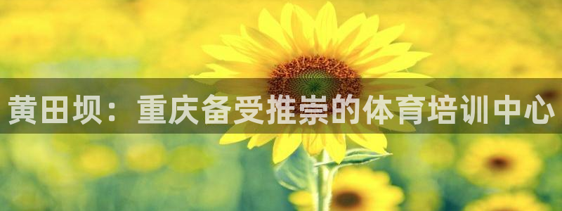 极悦平台注册流程图：黄田坝：重庆备受推崇的体育培训中