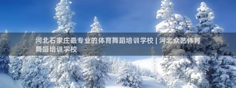 极悦娱乐代理多少钱一年：河北石家庄最专业的体育舞蹈培