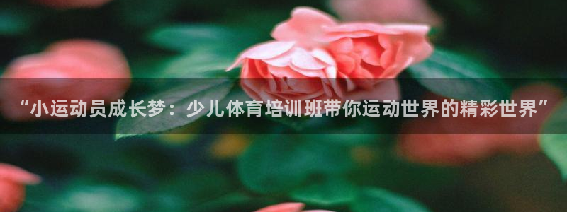 极悦平台官方网站首页登录