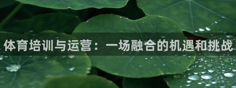 极悦娱乐管理最建议买吗