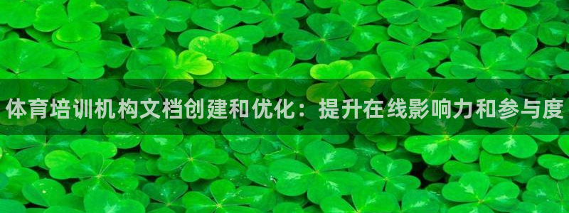 极悦娱乐股东：体育培训机构文档创建和优化：提升在线影