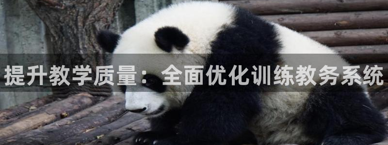 极悦平台用户评价在哪里看