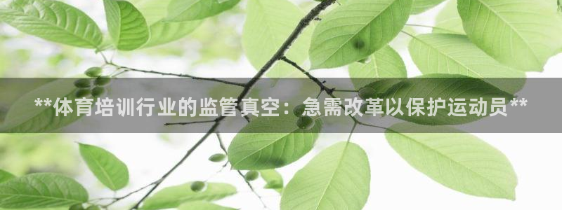 极悦平台和蓝狮平台区别：**体育培训行业的监管真空：