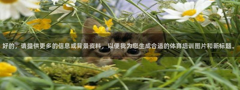 苏州极悦信息科技有限公司