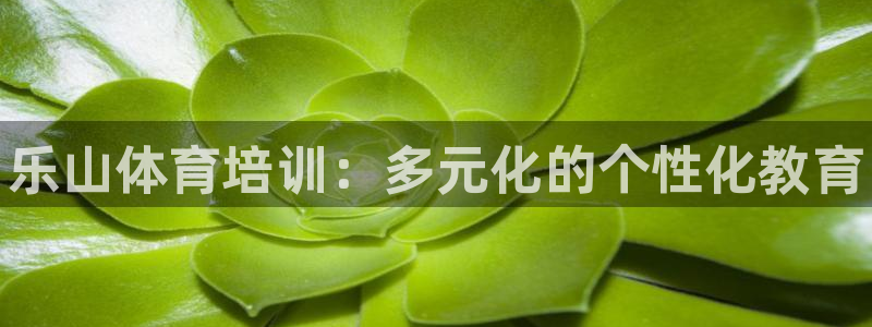 极悦官方网站app下载软件