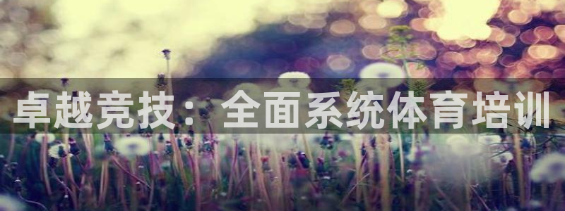 极悦平台官网下载中心：卓越竞技：全面系统体育培训