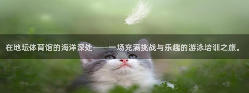 极悦平台安全吗可信吗：在地坛体育馆的海洋深处——一场充满挑战