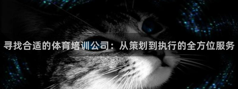 极悦平台注册流程图片：寻找合适的体育培训公司：从策划