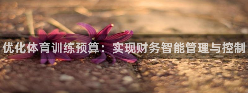 极悦平台是正规平台吗安全吗知乎：优化体育训练预算：实现财务智
